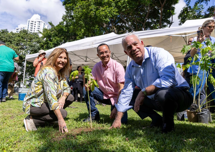 foto de portada de la publicación Siembra de plantones en el Parque Omar fortalece la biodiversidad urbana