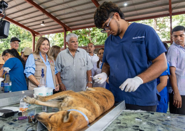 foto de portada de la publicación Mega Jornada de Esterilización en Coclé marca un nuevo hito para el bienestar animal y comunitario