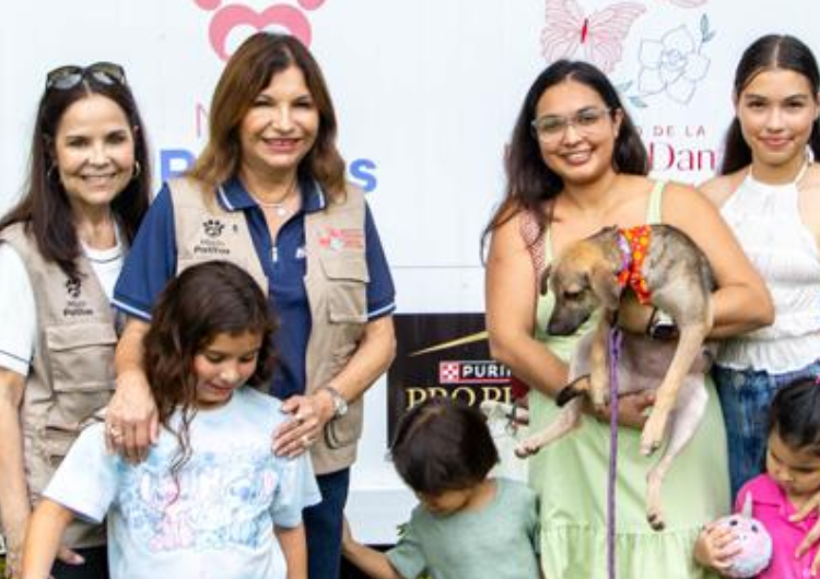 foto de portada de la publicación Jornada #45 de Adopta Box brinda una segunda oportunidad a 13 peluditos